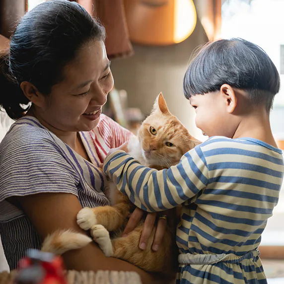 Asian mother and son petting their cat.
